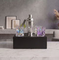 Car-O-Bar Silver Bar Set with Glasses Gift Set
