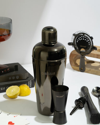 Car-O-Bar Premium Gun Metal Barset with Stand